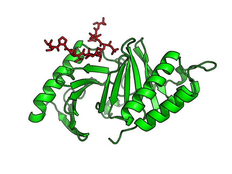 2-plk1