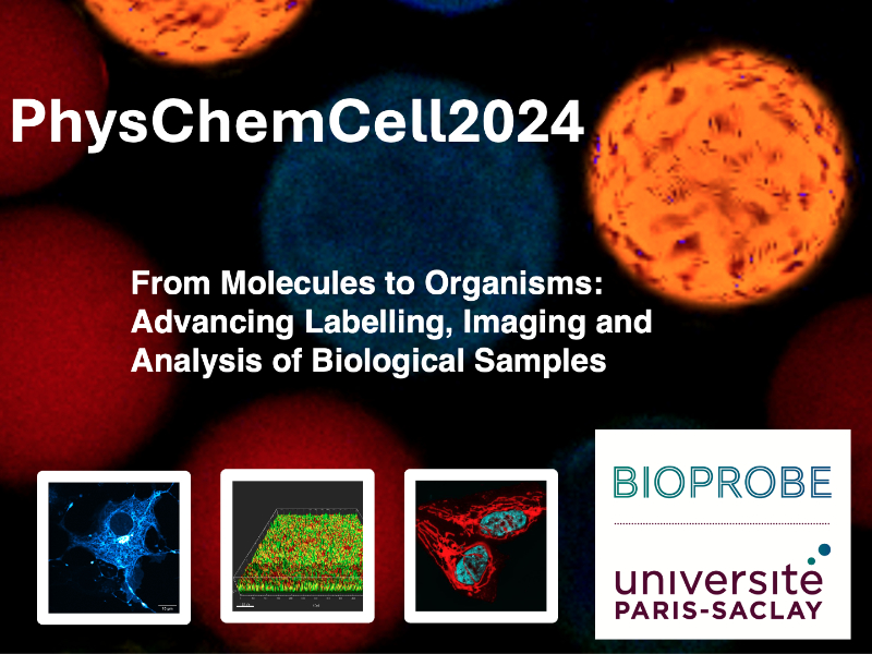 Institute for Integrative Biology of the Cell – I2BC, Institute of ...