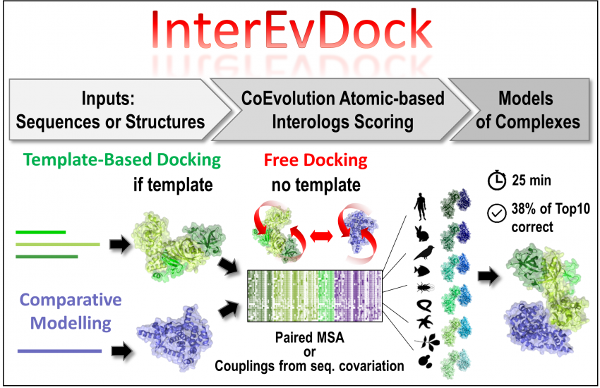 FigureTopic2_InterEvDock3 FigureTopic2_InterEvDock3