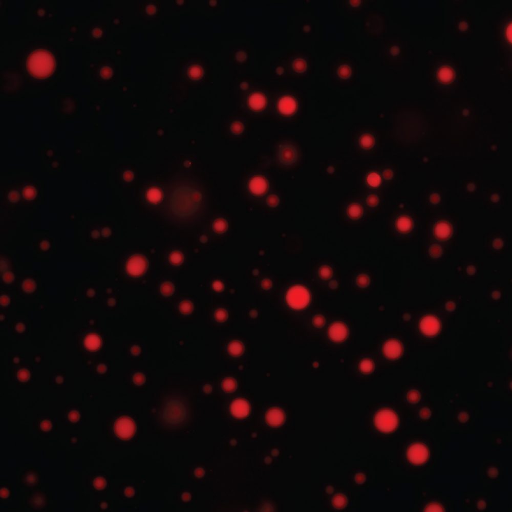 site_topic3